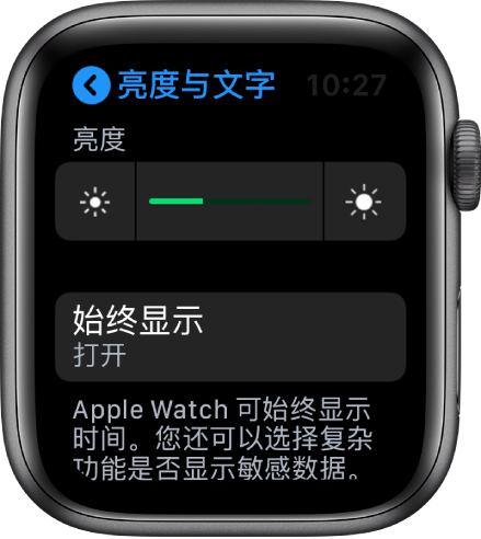 Apple Watch 屏幕，显示了“亮度与文字大小”屏幕中的“始终显示”按钮。