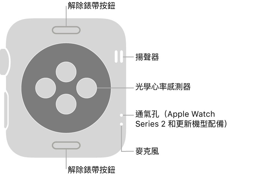 Apple Watch Series 3 和較早機型的背面，說明文字分別指向解除錶帶按鈕、揚聲器、光學心率感測器、通氣孔和麥克風。