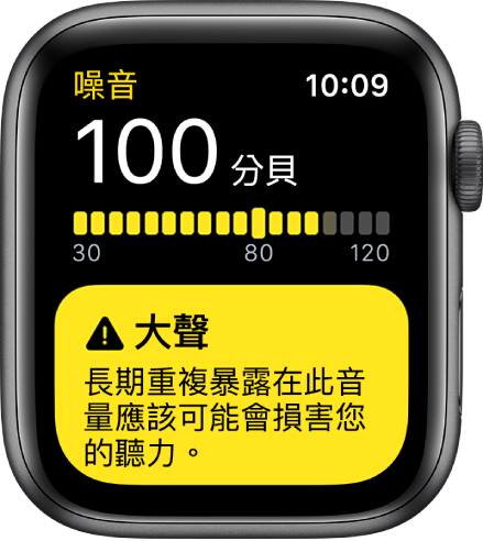 「噪音」App 顯示 100db 的讀數。有關長期暴露於此音量的警告如下所示。
