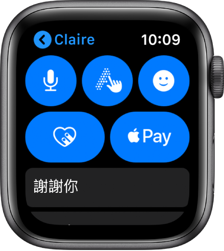 「訊息」畫面，顯示位於右下角的 Apple Pay 按鈕。