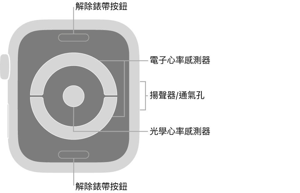 Apple Watch Series 4 背面，說明文字分別指向解除錶帶按鈕、電子心率感測器、揚聲器/通氣孔，以及光學心率感測器。