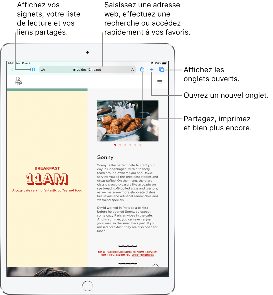 Un page web s’ouvre dans Safari et les commandes suivantes s’affichent en haut, de gauche droite : Les boutons Précédent, Suivant et Signets, le champ d’adresse, ainsi que les boutons Partager, Nouvel onglet et Pages.
