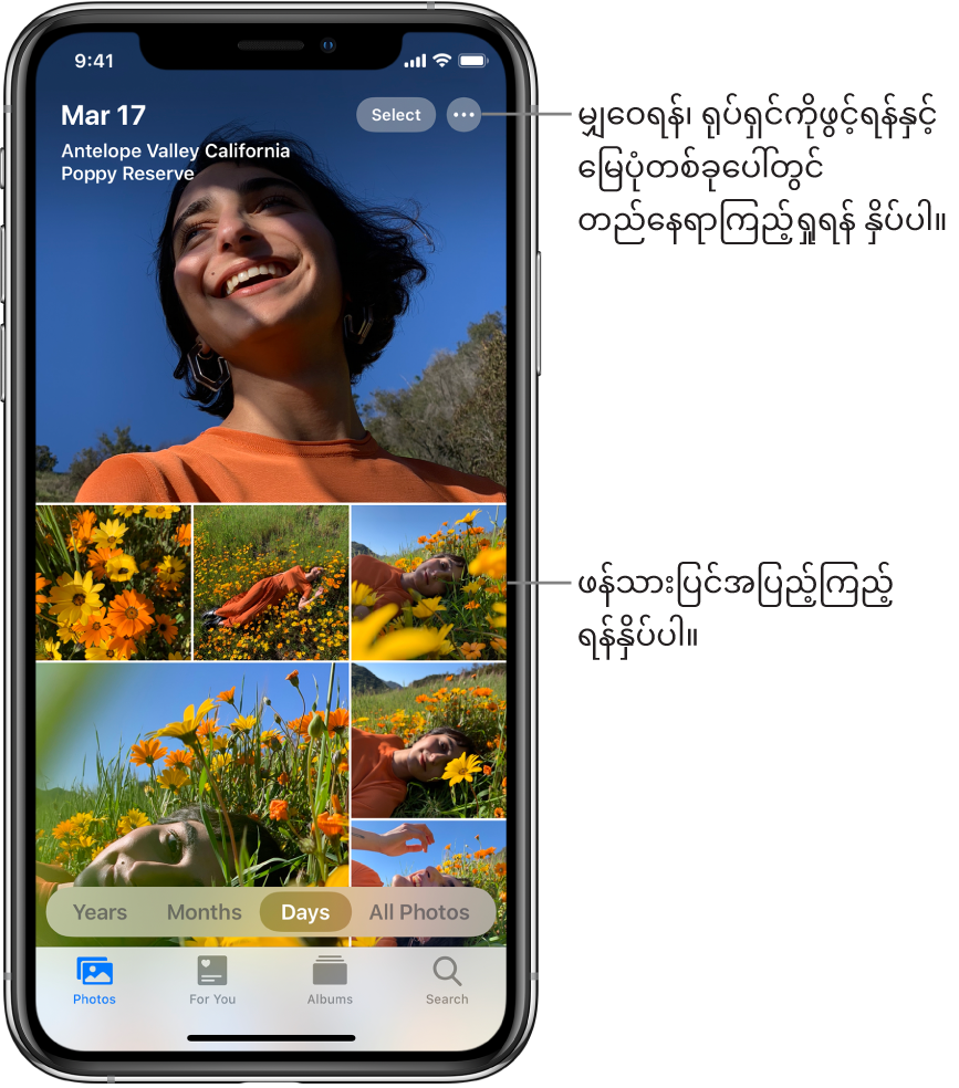 ထိုဓာတ်ပုံစာကြည့်တိုက်သည် ရက်များကြည့်ရှုမှုတွင်ပြထားသည်။ ရွေးချယ်ထားသည့် ဓာတ်ပုံပုံသေးများသည်ထိုဖန်သားပြင်အပြည့်ဖြစ်သည်။ ဖန်သားပြင်၏ ဘယ်ဘက်ထိပ်သည် ထိုဓာတ်ပုံများကို ရိုက်ထားသည့်နေ့စွဲနှင့်တည်နေရာဖြစ်သည်။ ညာဘက်ထိပ်သည်ဓာတ်ပုံများကိုမျှဝေရန်နှင့်အသေးစိတ်ကြည့်ရန် Select နှင့် More Options ခလုတ်များဖြစ်သည်။ ထိုပုံသေးများ၏အောက်ဘက်သည် Years၊ Months၊ Days၊ နှင့် All Photos ဖြင့် ဓာတ်ပုံစာကြည့်တိုက်ကိုကြည့်ရန် ရွေးစရာများဖြစ်သည်။ အောက်ခြေတစ်လျှောက်တွင် Photos ၊For You ၊ Albums ၊ နှင့် Search စာမျက်နှာများရှိသည်။