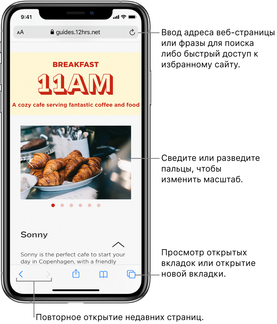 Веб-сайт в окне Safari, с полем адреса в верхней части экрана. Вдоль нижнего края слева направо расположены кнопки «Назад», «Вперед», «Поделиться», «Закладки» и «Страницы».