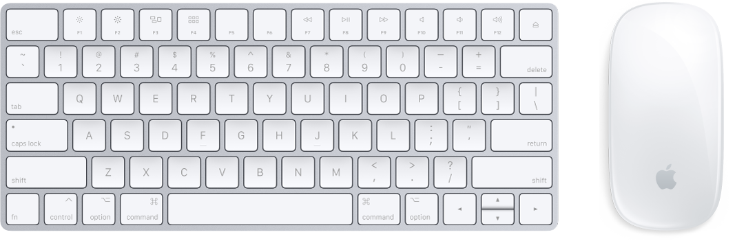 Клавиатура Magic Keyboard и мышь Magic Mouse 2, входящие в комплект поставки iMac.