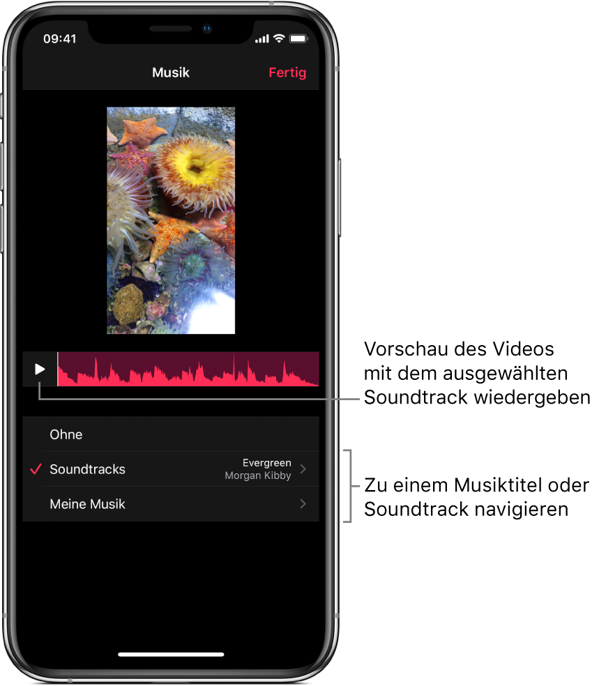 Die Taste „Wiedergabe“ und eine Audio-Wellenform unter einem Bild im Viewer mit Optionen zum Navigieren durch Soundtracks oder durch deine Musikmediathek.