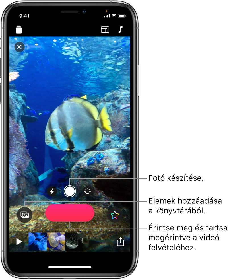 Egy videó képe a megtekintőben, a kameravezérlőkkel, a Felvétel gombbal, és a alul az aktuális projekthez tartozó klipek bélyegképeivel.