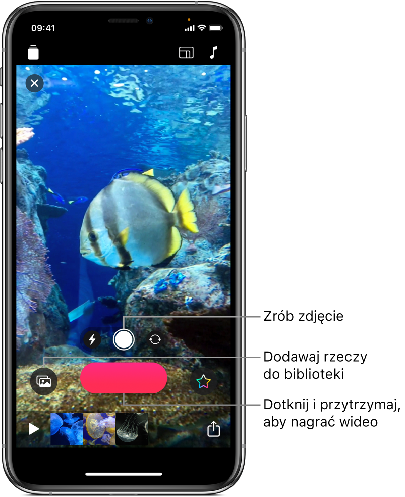 Obraz wideo w polu podglądu z narzędziami aparatu, przyciskiem nagrywania oraz miniaturkami klipów w bieżącym projekcie poniżej.