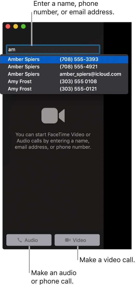 Enter a name, phone number, or email address in the search bar. Click the Video button to make a FaceTime video call. Click the Audio button to make a FaceTime audio or phone call.