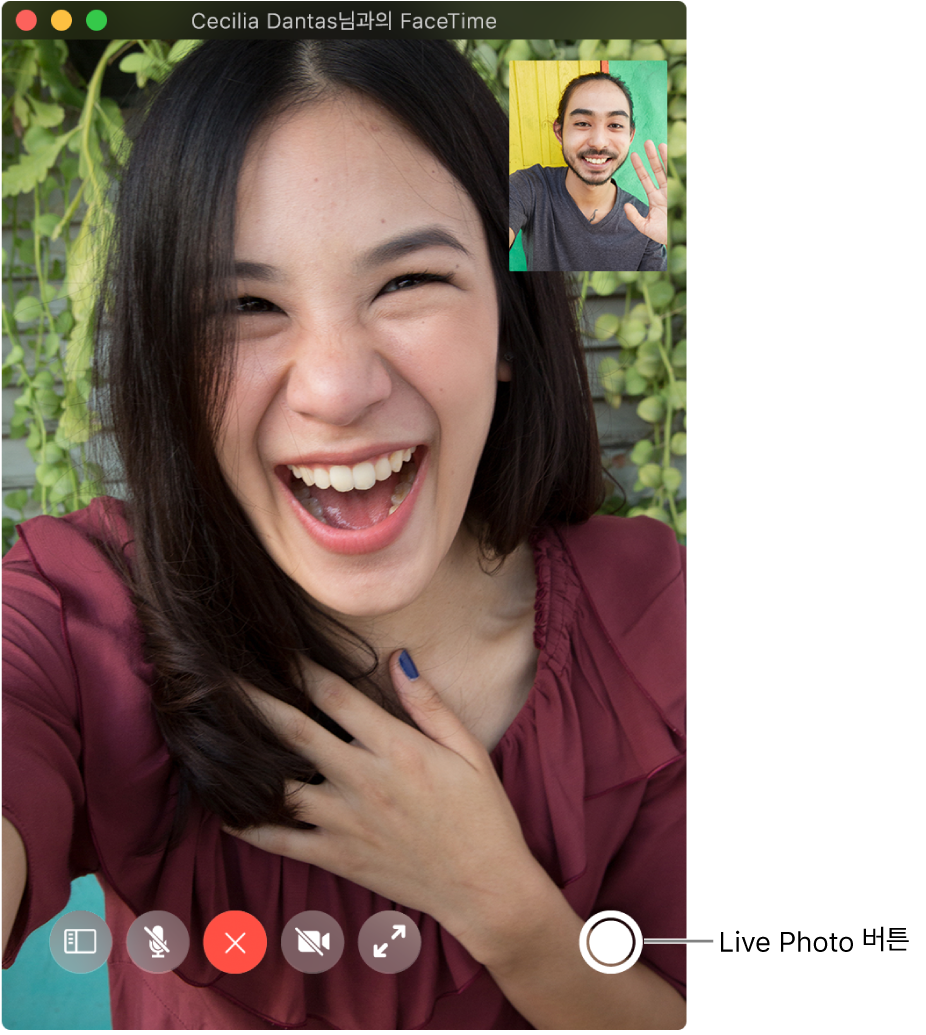 Live Photo 버튼을 보려면 포인터를 FaceTime 윈도우 위로 이동하십시오.