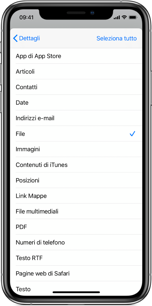 L'elenco di input del pannello di condivisione che mostra i tipi di contenuti disponibili per un comando rapido quando viene eseguito da un'altra app.