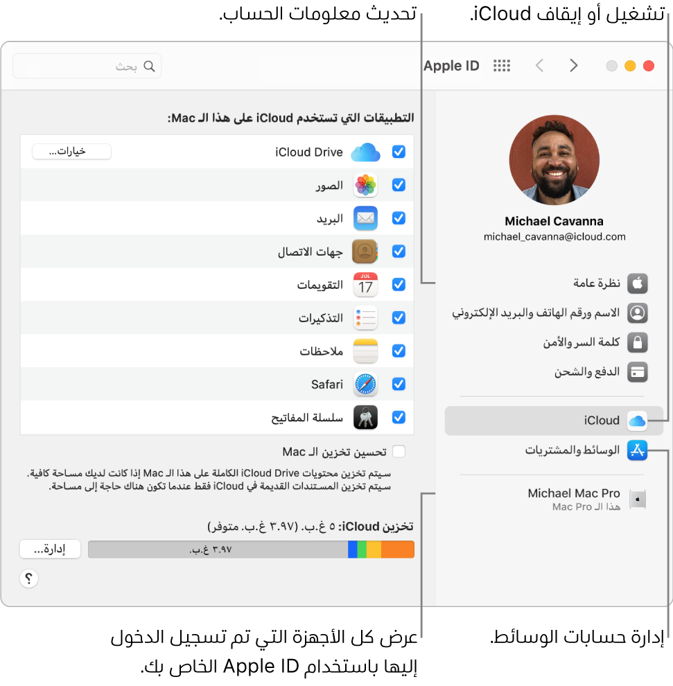 جزء Apple ID في تفضيلات النظام. انقر على عنصر في الشريط الجانبي لتحديث معلومات حسابك وتشغيل iCloud أو إيقافه وإدارة حسابات الوسائط وعرض جميع الأجهزة التي سجلت الدخول عليها باستخدام Apple ID.