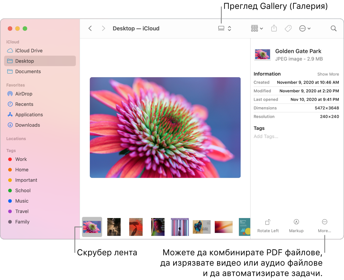 Отворен прозорец на Finder в Gallery View (Изглед Галерия), който показва голяма снимка с редица по-малки снимки—лентата на скубера—под нея. Бутоните за управление на завъртане, подчертаване и други са вдясно на лентата на скрубера.