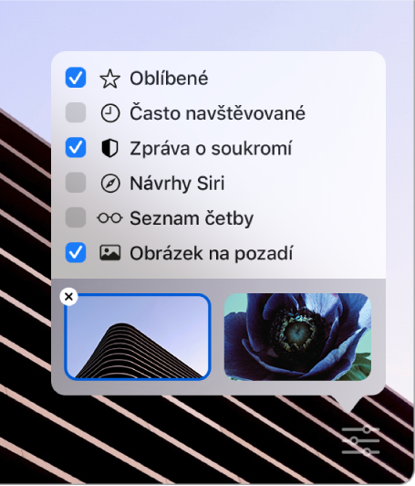 Místní nabídka Přizpůsobit Safari se zaškrtávacími políčky pro zobrazení oblíbených položek, často navštěvovaných stránek, zprávy o soukromí, návrhů Siri, seznamu četby a obrázku na pozadí