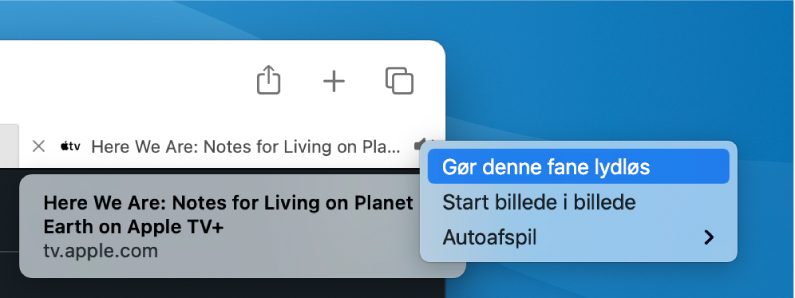 Undermenuen til symbolet Lyd med Gør denne fane lydløs, Start billede i billede og Afspil automatisk emner.