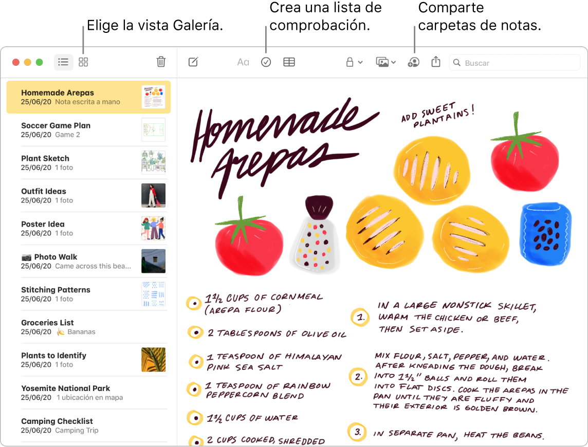 Ventana de la app Notas en la vista Galería con textos que indican los botones “Visualización como galería”, “Lista de comprobación” y “Compartir carpeta”.