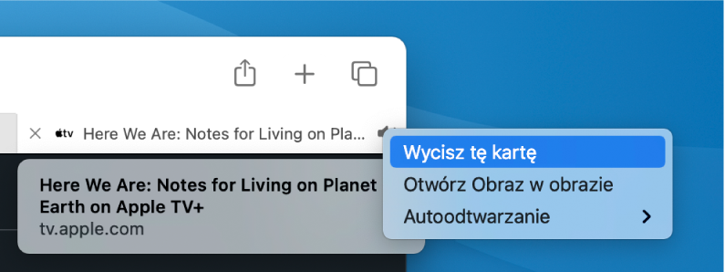 Menu podręczne ikony audio, zawierające polecenia Wycisz tę kartę, Otwórz obraz w obrazie oraz Autoodtwarzanie.