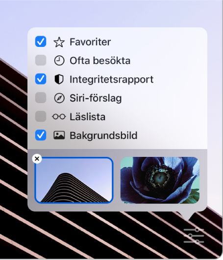 Popupmenyn för anpassning av Safari med kryssrutor för favoriter, ofta besöka, integritetsrapport, Siri-förslag, läslista och bakgrundsbild.