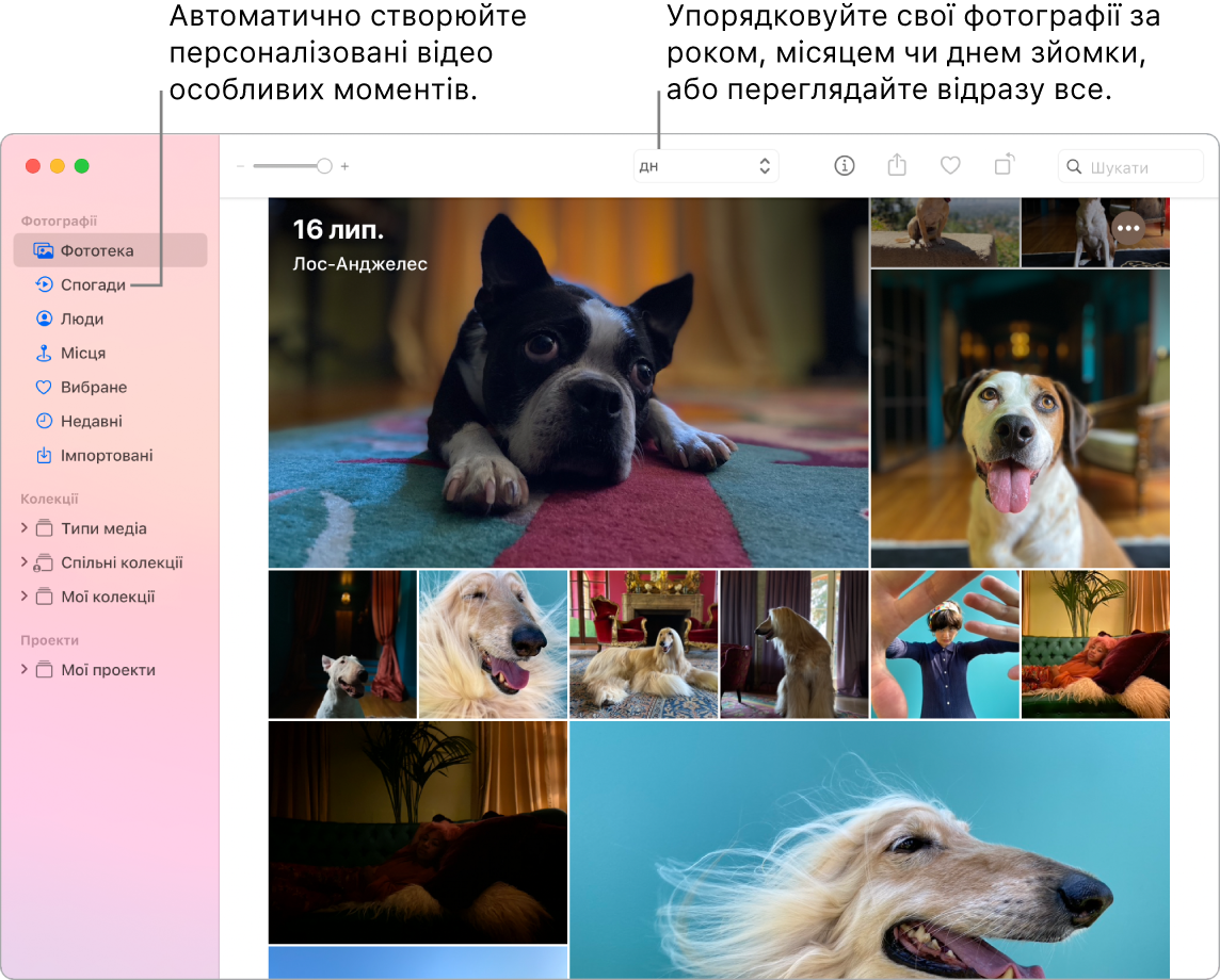 Вікно Фотографій з категорією «Спогади» на лівій боковій панелі і спливним меню вгорі вікна Фотографій, в якому можна перепереглядати фото в колекції за днями, тижнями, місяцями і роками.