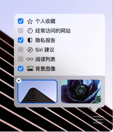 “自定 Safari 浏览器”弹出式菜单,包含“个人收藏”、“经常访问的网站”、“隐私报告”、“Siri 建议”、“阅读列表”和“背景图像”的复选框。