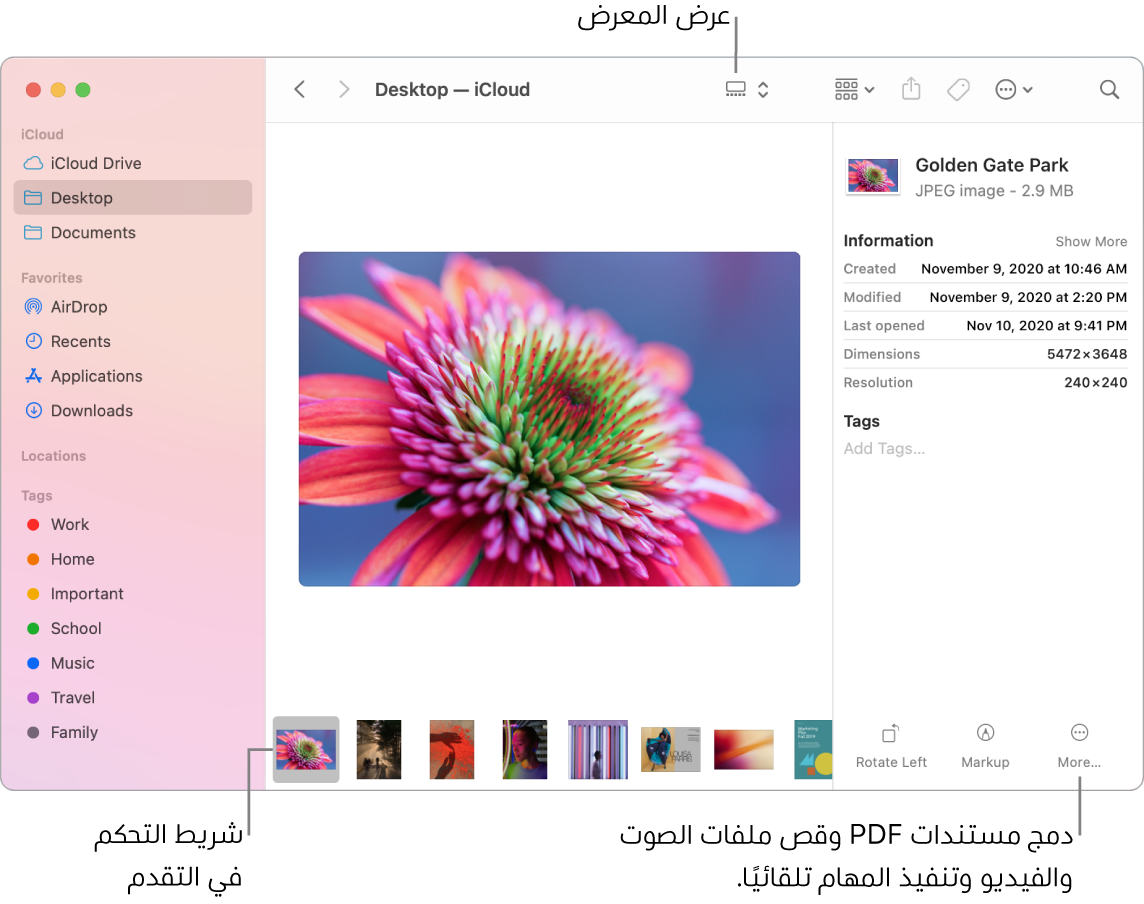 نافذة Finder مفتوحة في عرض المعرض وتظهر فيها صورة كبيرة وأسفلها صف من الصور الصغيرة، وهو شريط التحكم في التقدم. وتظهر على يسار شريط التحكم في التقدم عناصر تحكم للتدوير والتوصيف والمزيد.