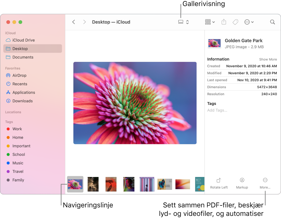 Et åpent Finder-vindu i gallerivisning som viser et stort bilde med en rekke småbilder – navigeringslinjen – under det. Kontroller for rotering, merking og annet er til høyre for navigeringslinjen.