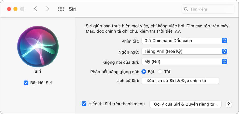 Cửa sổ tùy chọn Siri với Bật Hỏi Siri được chọn ở bên trái và một số tùy chọn để tùy chỉnh Siri ở bên phải.