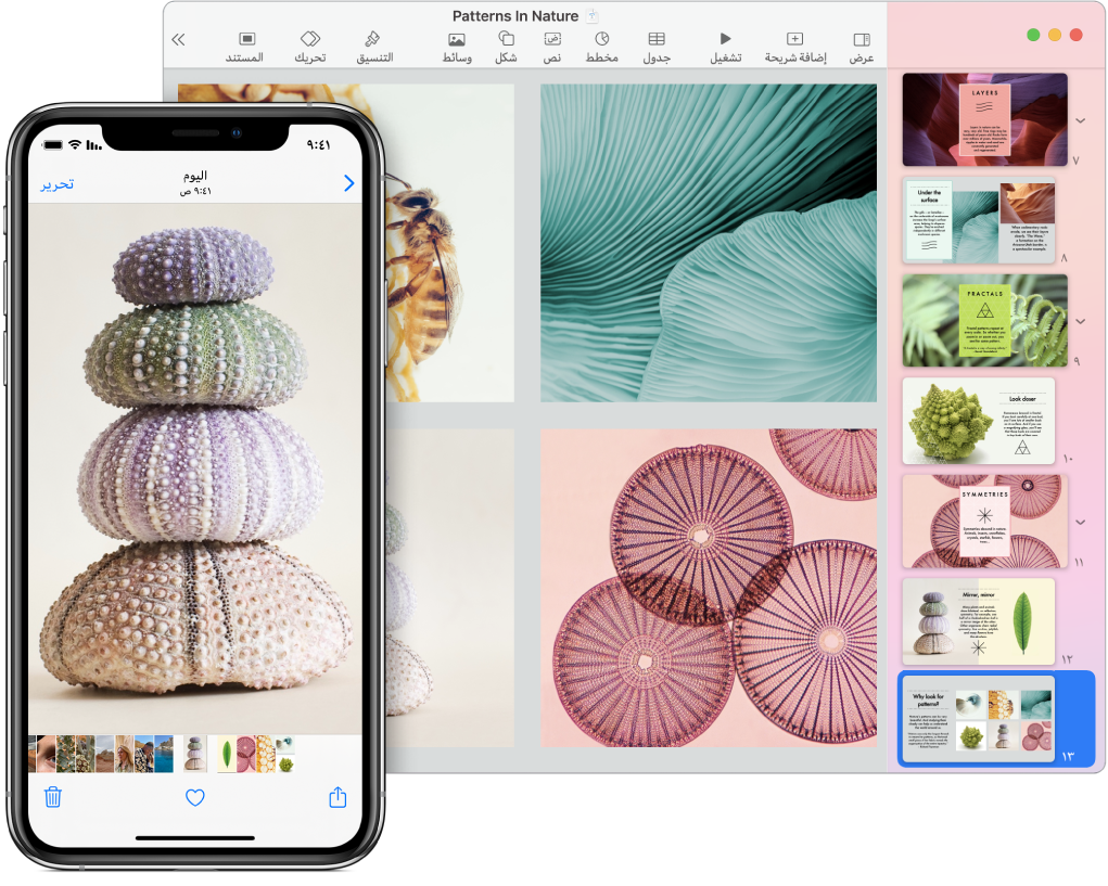 جهاز iPhone يعرض صورة، وبجواره جهاز Mac تظهر عليه الصورة بعد لصقها في مستند Pages.