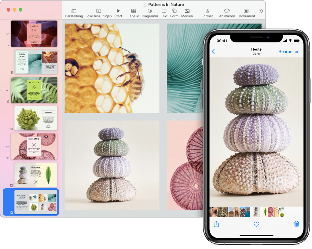 Ein iPhone, auf dessen Bildschirm ein Foto zu sehen ist, und ein Mac mit dem Foto, nachdem es in ein Pages-Dokument eingesetzt wurde.