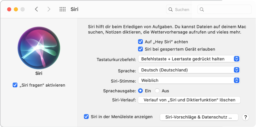 Das Fenster der Systemeinstellung „Siri“ mit aktivierter Option „„Siri fragen“ aktivieren“ links und mehreren Optionen zum Anpassen von Siri rechts, u. a. „Auf „Hey Siri“ achten“.