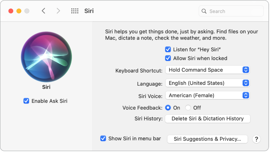 Siri on your Mac - Apple Support