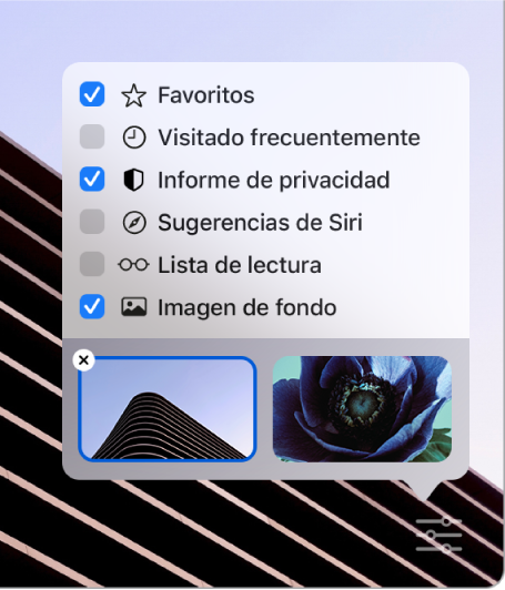 El menú desplegable Personalizar Safari con casillas para Favoritos, “Visitado frecuentemente”, “Informe de privacidad”, “Sugerencias de Siri”, “Lista de lectura” e “Imagen de fondo”.