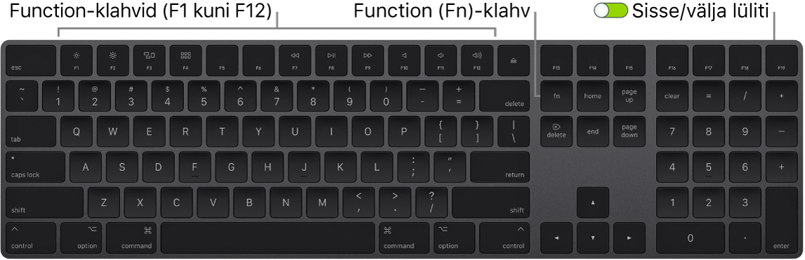Magic Keyboardi alumises vasakus nurgas on klahv Function (Fn) ning ülemises paremas nurgas sisse-/väljalülitamise lüliti.