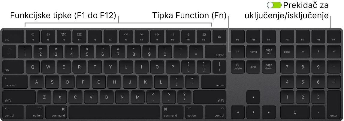 Tipkovnica Magic Keyboard prikazuje tipku Funkcija (Fn) u donjem lijevom kutu i prekidač za uključenje/isključenje na gornjem desnom kutu tipkovnice.