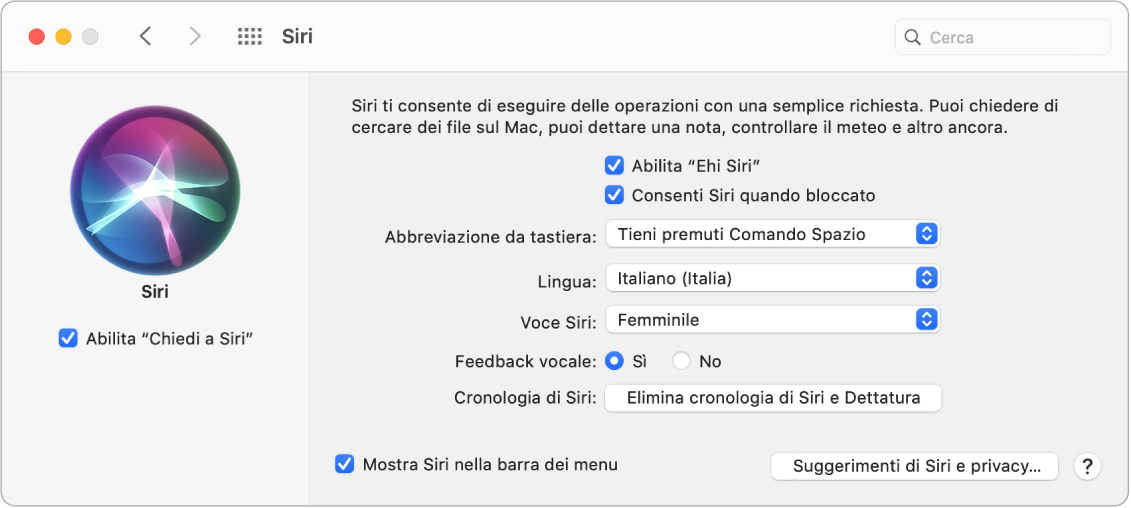 La finestra delle preferenze Siri con “Abilita Chiedi a Siri” selezionato sulla sinistra e varie opzioni per la personalizzazione di Siri sulla destra, tra cui “Ascolta Ehi Siri”.