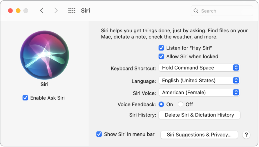 Сол жағында Enable Ask Siri параметрі таңдалған, ал оң жағында Siri көмекшісін теңшеуге арналған бірнеше параметрлер, соның ішінде Listen for «Hey Siri»» параметрі бар Siri preferences терезесі.