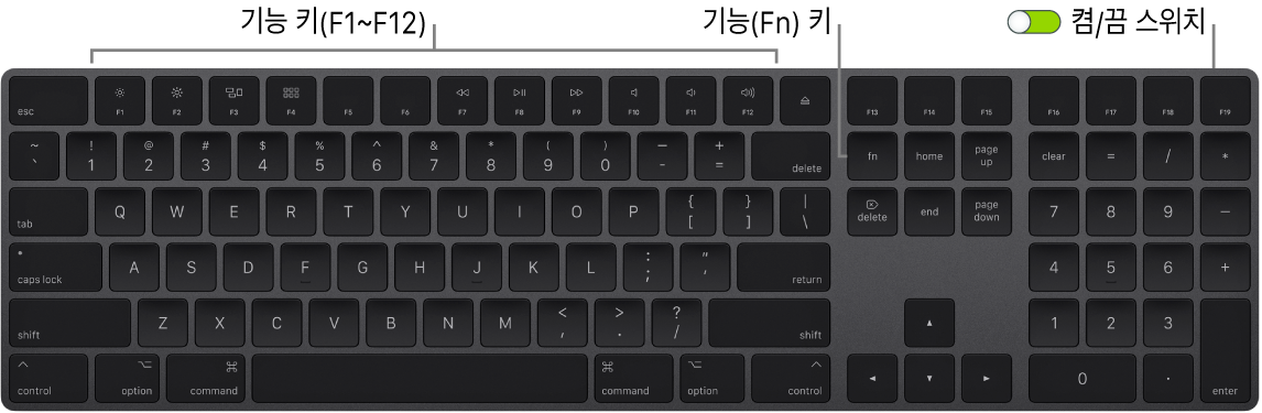 왼쪽 하단의 기능(Fn) 키와 키보드의 오른쪽 상단 모서리에 있는 켬/끔 스위치를 보여주는 Magic Keyboard.