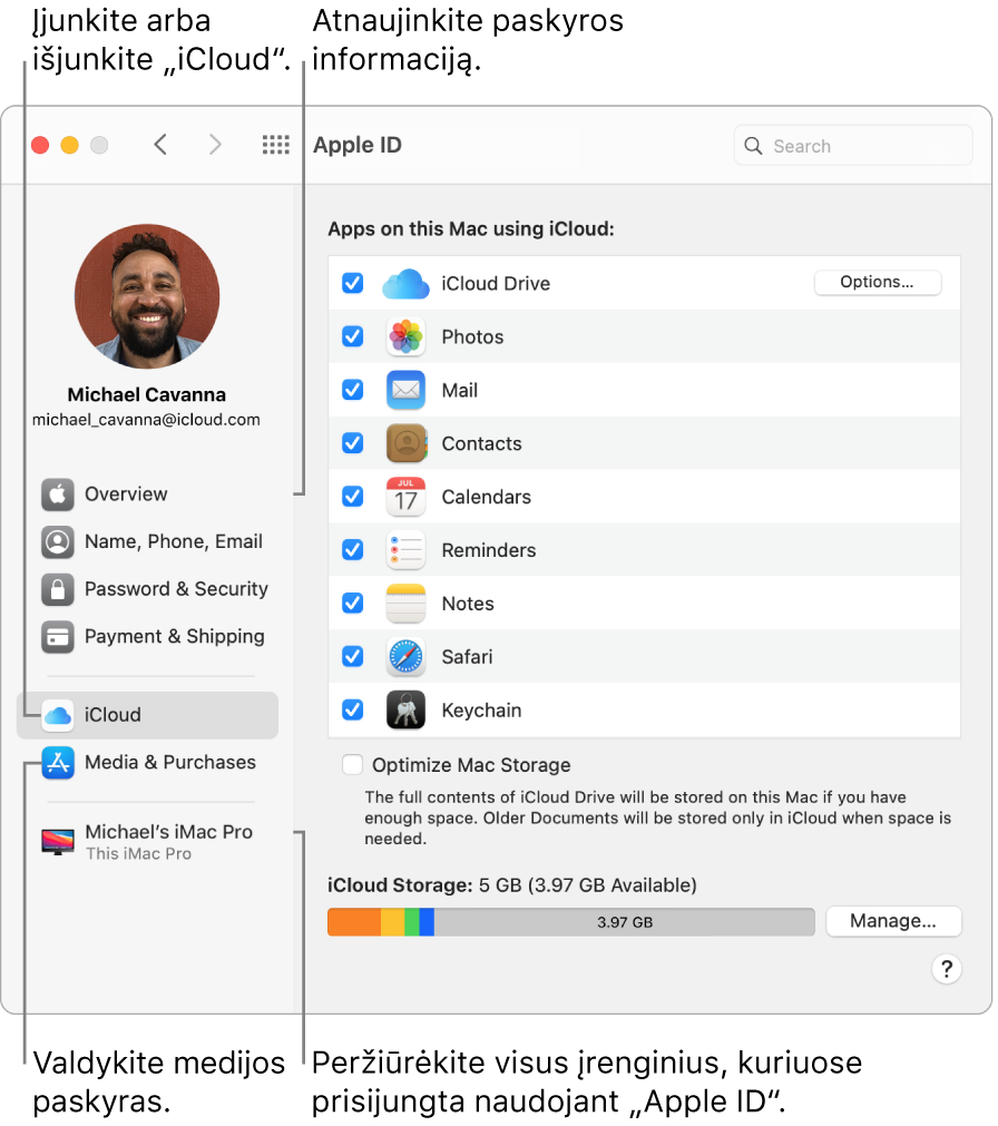 „Apple ID“ sritis skiltyje „System Preferences“. Spustelėkite elementą šoninėje juostoje, kad atnaujintumėte paskyros informaciją, įjungtumėte arba išjungtumėte „iCloud“, tvarkytumėte medijos paskyras ir peržiūrėtumėte visus įrenginius, kuriuose esate prisijungę naudodami „Apple ID“.