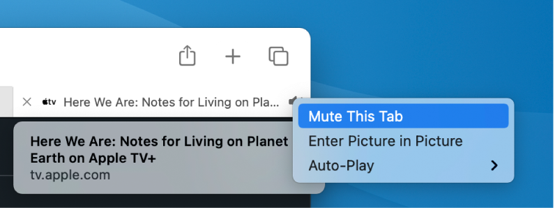 Ikonas Audio apakšizvēlne ar elementiem Mute This Tab, Enter Picture in Picture un Auto-Play items.