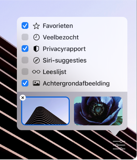 Het venstermenu 'Pas Safari aan' met aankruisvakken voor 'Favorieten', 'Veelbezocht', 'Privacyrapport', 'Siri-suggesties', 'Leeslijst' en 'Achtergrondafbeelding'.