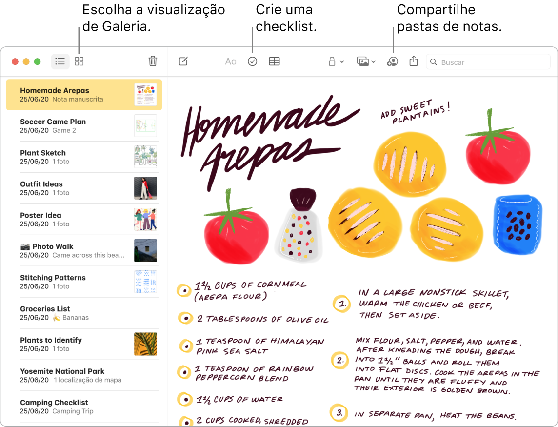 Uma janela do app Notas na visualização de Galeria, com chamadas para os botões Visualização de Galeria, Checklist e Compartilhar Pasta.