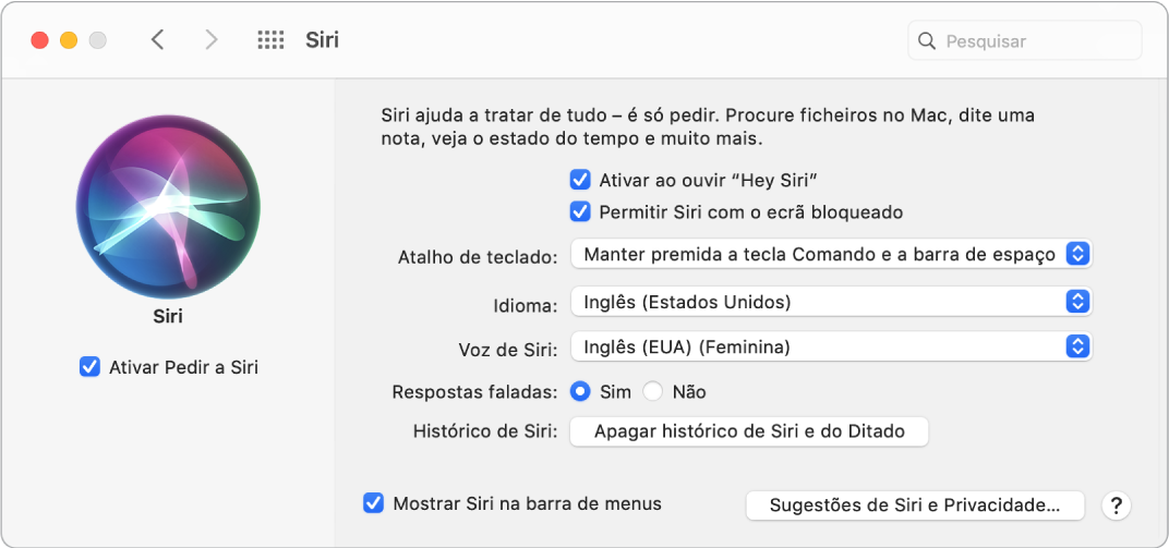 A janela de preferências de Siri com a opção “Ativar Perguntar a Siri’” selecionada à esquerda e várias opções para personalizar Siri à direita, incluindo “Ativar através de Hey Siri”.