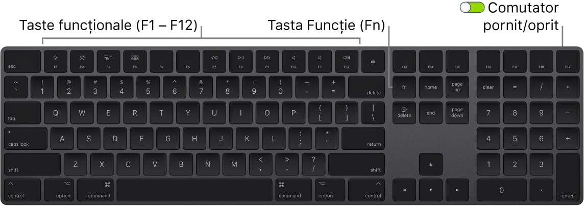 Magic Keyboard prezentând tasta Funcție (Fn) din colțul din stânga jos și comutatorul de pornire/oprire din colțul din dreapta sus a tastaturii.