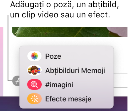 Meniul Aplicații cu opțiuni pentru afișarea pozelor, abțibilduri Memoji, GIF‑uri și efecte pentru mesaje.