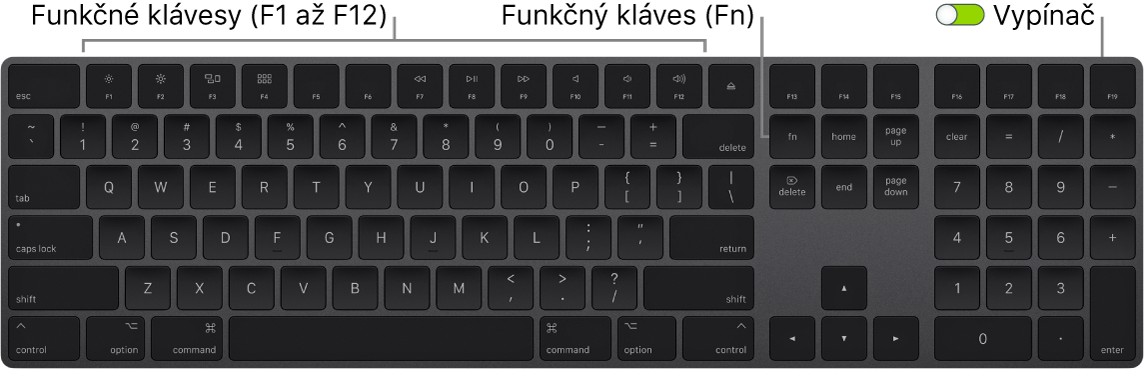 Magic Keyboard s funkčným klávesom (Fn) v ľavom dolnom rohu a prepínačom zapnutia/vypnutia v pravom hornom rohu klávesnice.