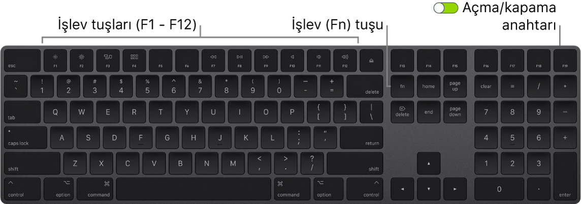 Klavyenin sol alt köşesinde İşlev (Fn) tuşunu ve sağ üst köşesinde açma/kapama anahtarını gösteren Magic Keyboard.