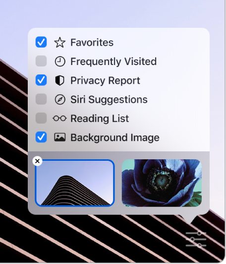Допълнителното меню Customize Safari (Персонализиране на Safari) с полета за маркиране за Favorites (Любими), Frequently Visited (Често посещавани), Privacy Report (Отчет за поверителност), Siri Suggestions (Предложения от Siri), Reading List (Списък за четене) и Background Image (Изображение за фон).