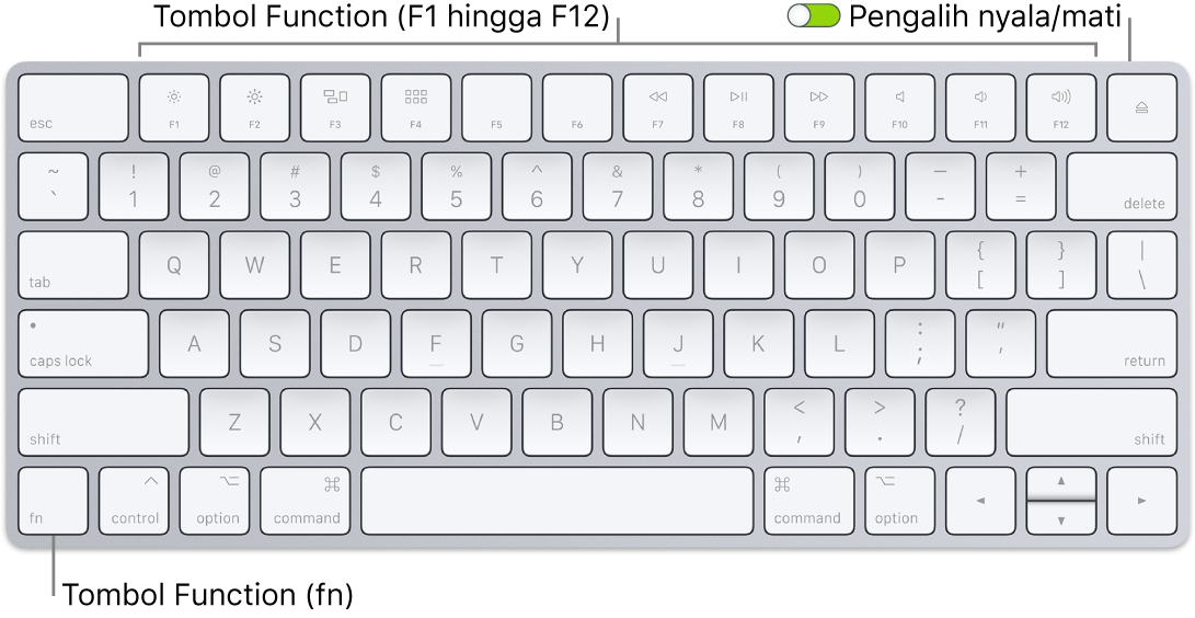 Magic Keyboard menampilkan tombol Function (Fn) di pojok kiri bawah dan pengalih nyala/mati di pojok kanan atas papan ketik.