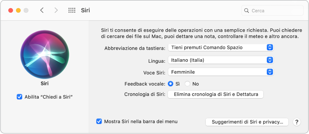 La finestra delle preferenze Siri con “Abilita Chiedi a Siri” selezionato sulla sinistra e varie opzione per la personalizzazione di Siri sulla destra.