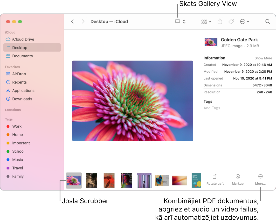 Atvērts lietotnes Finder logs skatā Gallery View, kurā redzams liels fotoattēls ar rindu mazāku attēlu — skrubera joslu — apakšā. Skrubera joslas labajā pusē ir vadīklas pagriešanai, atzīmēšanai u.c.